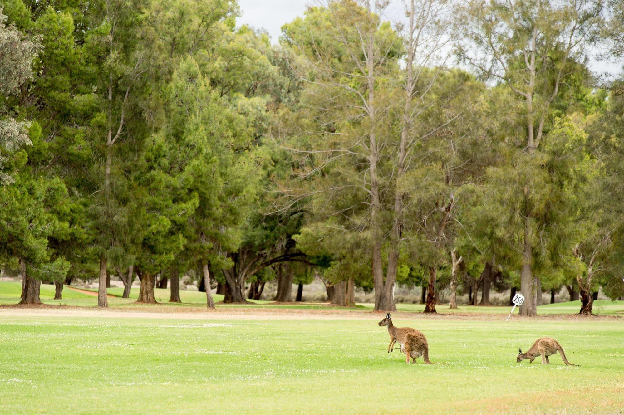 Renmark Country Club Exterior photo