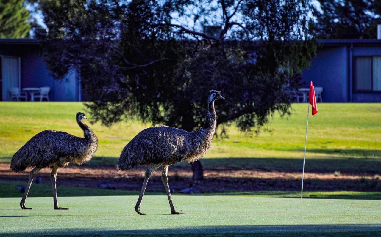 Renmark Country Club Exterior photo